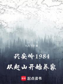 �˰���1984���Ӹ�ɽ��ʼ����
